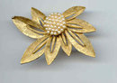 SALE AN Signed. Pin