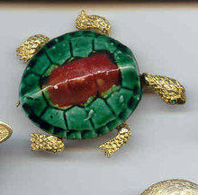 SALE Grand Turtle Pin