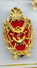 SALE Military Pin