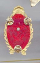 SALE Military Pin