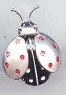 SALE Beau Sterling Bug Pin Rare