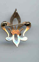 SALE Fleur de Lee Pin or Pendant