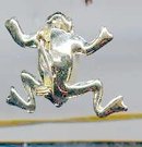 SALE Another frog Pin