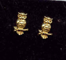 SALE Owl Earring Adorable