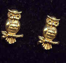 SALE Owl Earring Adorable