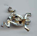 SALE Cute Jelly Belly type Frog