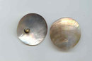 SALE Large Dazzling Shell Earrings