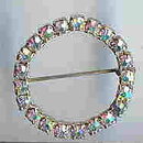 SALE Round Aurora Borealis Circle Pin