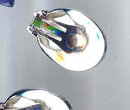 Trafari With Crown Earrings