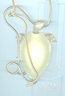 Turtle Necklace