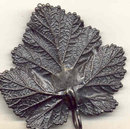 Pewter Sweden Leaf Pendant