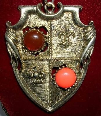 Carbochon Shield Necklace