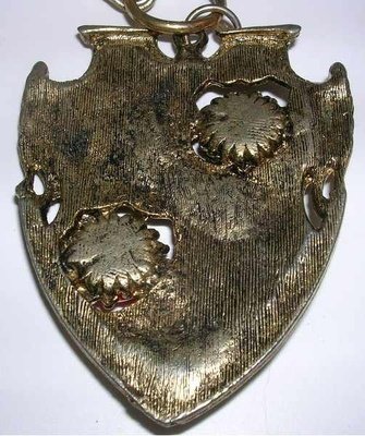 Carbochon Shield Necklace