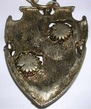 Carbochon Shield Necklace