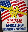 Desert Storm Sign
