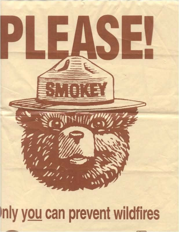Smokey the Bear Litter Bag