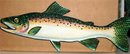 Rainbow Trout Greeting Cards 1960s
