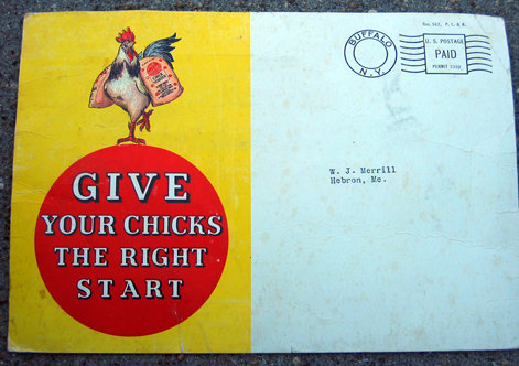 Chicken Feed Postcard