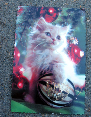 old vintage 1983 CHRISTMAS CAT postcard