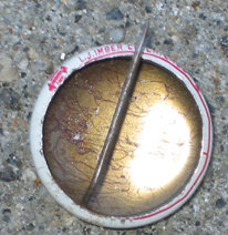 20 Feather Club Pinback