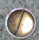 20 Feather Club Pinback