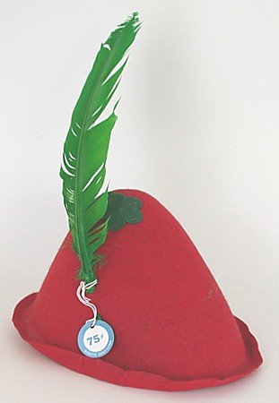 Robin Hood Hat