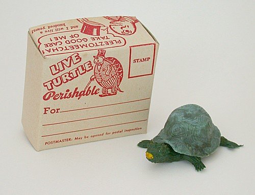 old vintage baby TURTLE MAILING BOX