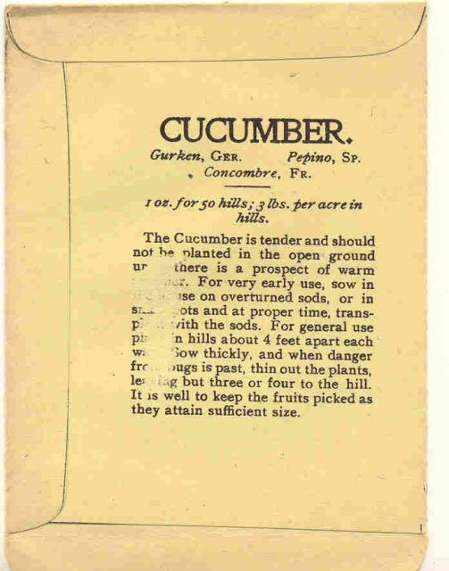 old 1910 FREDONIA NY CUCUMBER litho seed pack