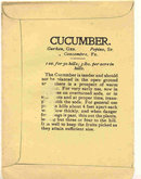 old 1910 FREDONIA NY CUCUMBER litho seed pack