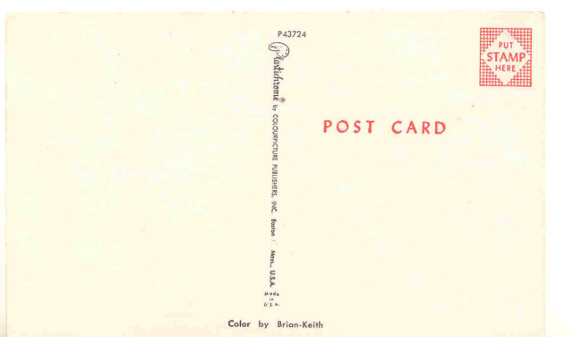old vintage unused SEXY BIKINI lady postcard