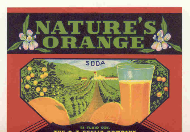 old vintage NATURE'S ORANGE SODA LABEL ~ idaho