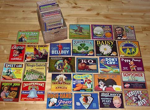 Resale Lot Citrus Crate Labels - 111