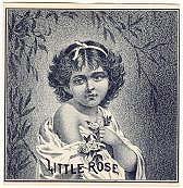 old vintage LITTLE ROSE OUTER CIGAR LABEL 1900