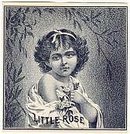 old vintage LITTLE ROSE OUTER CIGAR LABEL 1900