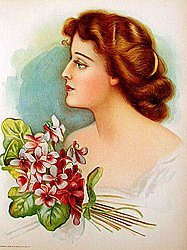 old vintage 1906 VICTORIAN LITHO ~ VIOLETS