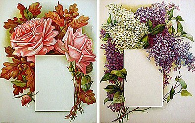 Victorian Flower Prints - Chromolithograph