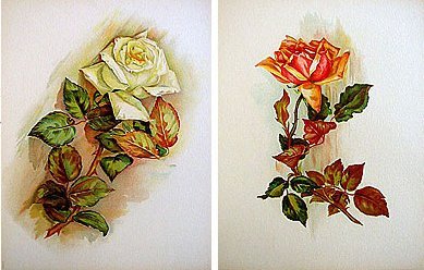 2 old vintage VICTORIAN LITH FLOWER PRINTS