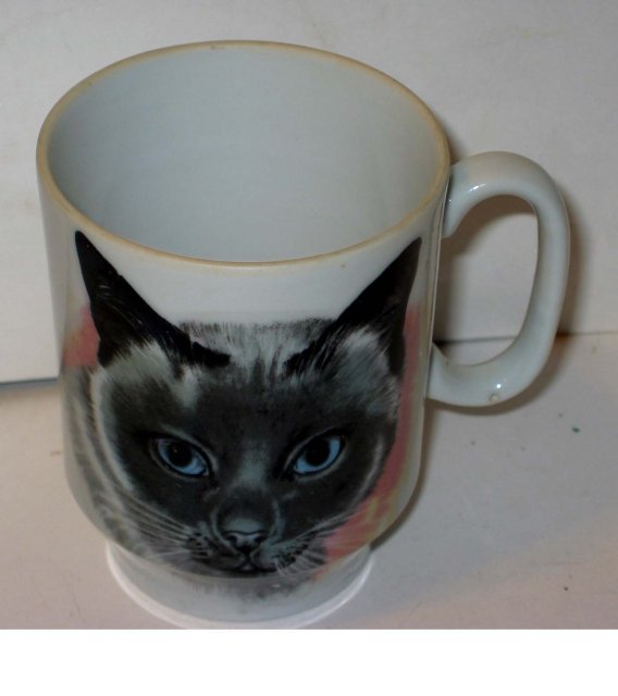 Cat Coffee Mug