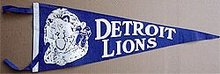 old vintage DETROIT LIONS FELT football pennant