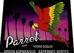 old vintage PARROT ASPARAGUS vegetable label