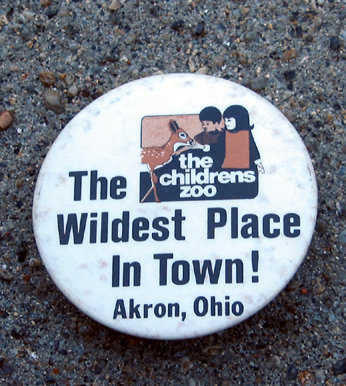 old vintage AKRON OH CHILDREN'S ZOO pinback pin