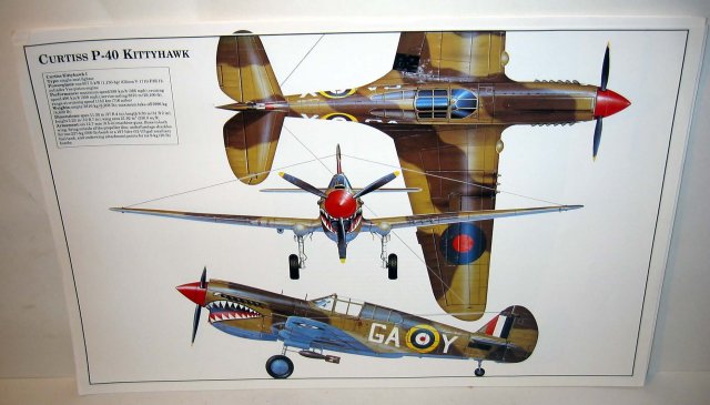 old vintage CURTISS P-40 KITTYHAWK plane poster