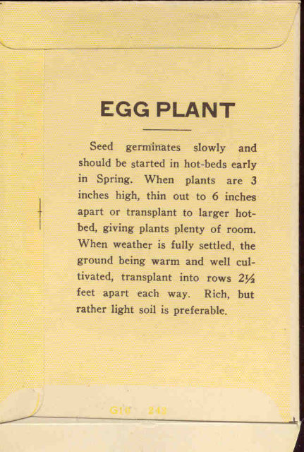 old vintage 1920s NY EGGPLANT SEED PACKET ~ PASADENA CA