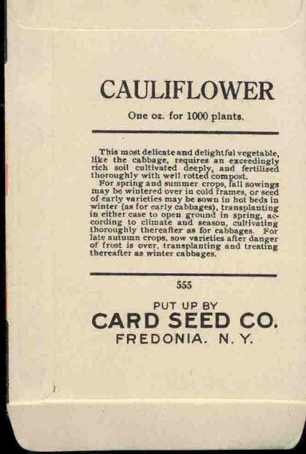 old vintage 1930s CAULIFLOWER SEED PACKET ~ FREDONIA NEW YORK