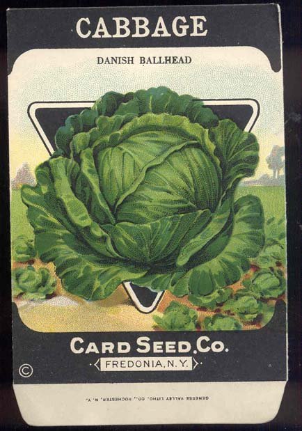 old vintage 1930s DANISH CABBAGE SEED PACKET ~ FREDONIA NY