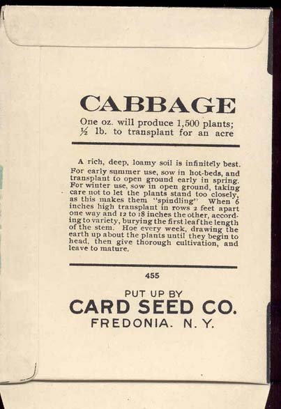 old vintage 1930s DANISH CABBAGE SEED PACKET ~ FREDONIA NY
