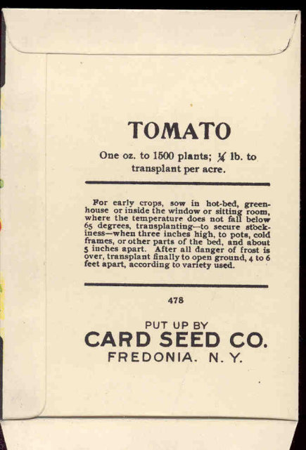 old vintage 1930s WHITE RADISH SEED PACKET ~ FREDONIA NY