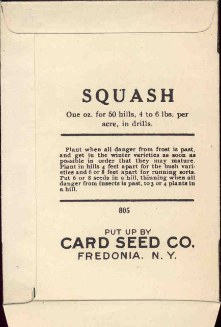 old vintage 1930s SQUASH SEED PACKET ~ FREDONIA NY