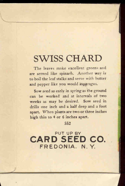 old vintage 1930s SWISS CHARD SEED PACKET ~ FREDONIA NY