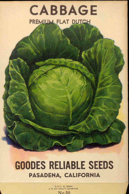 old vintage 1920s FLAT CABBAGE SEED PACKET ~ PASADENA CA